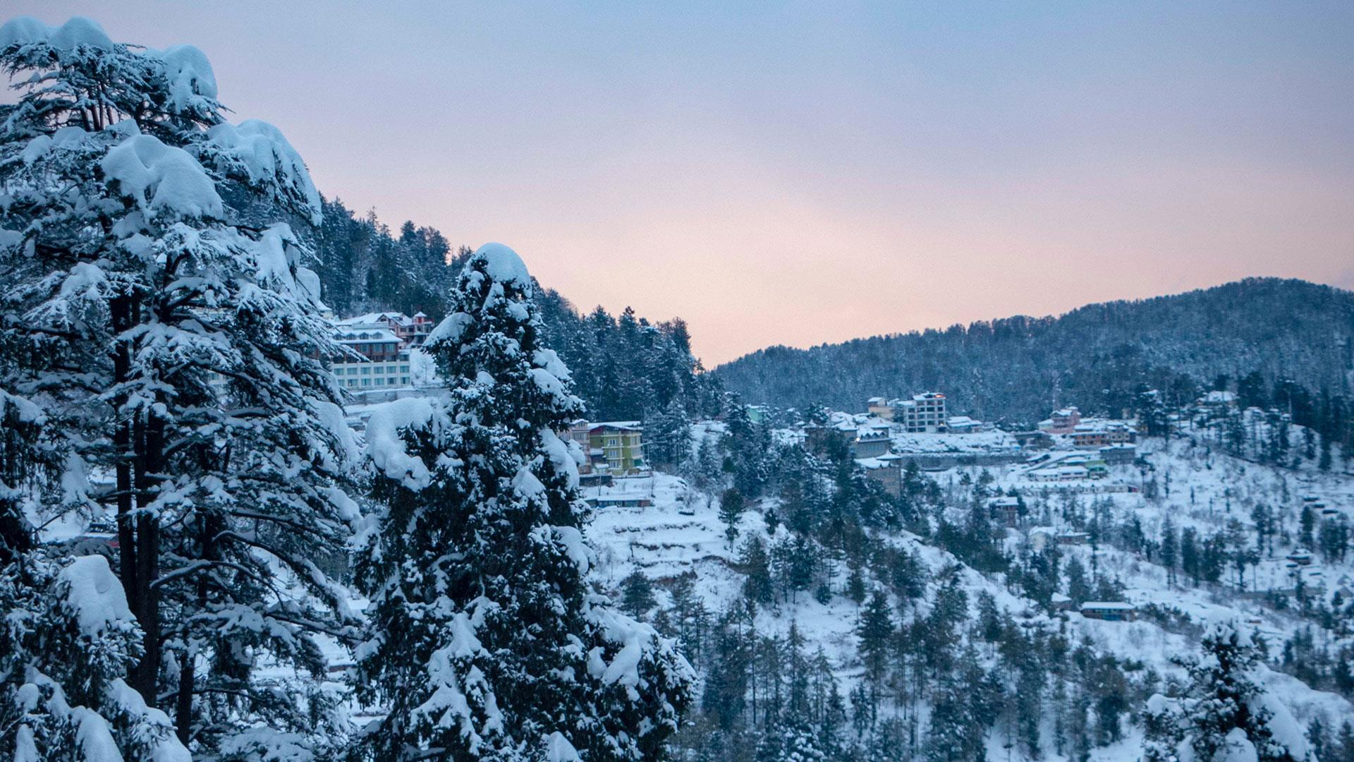 shimla